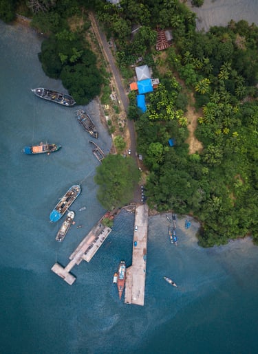 Andaman tour package with PP Holidays