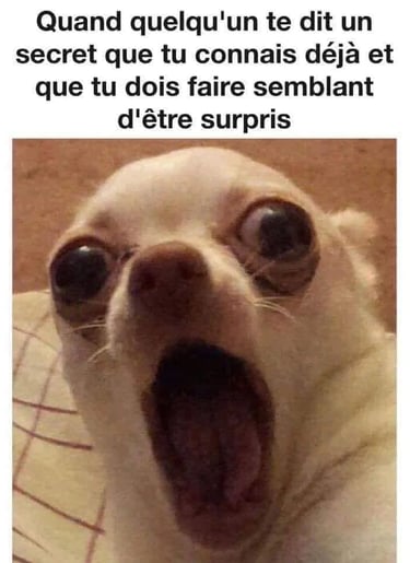 photo texte de chien halluciné