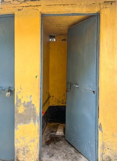 Small yellow toilet in block with blue door ajar.