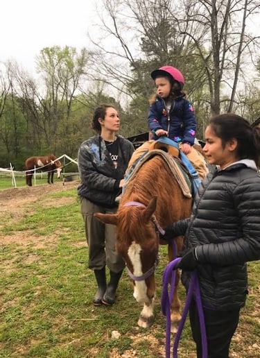 Health Vibes - Therapeutic riding lesson to improve physical, mental, and emotional health