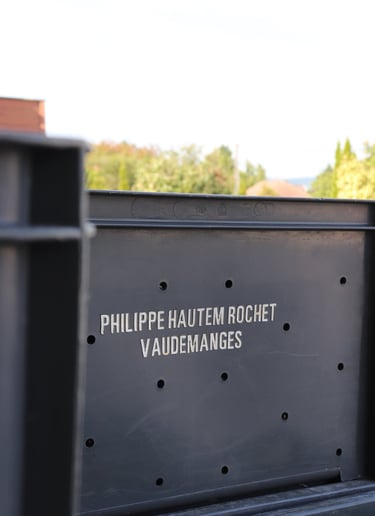 Caisse de Vendanges du Champagne Philippe Hautem