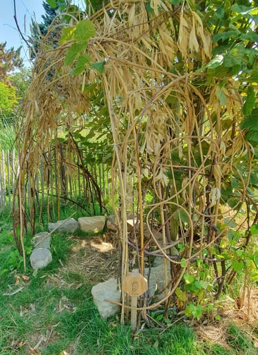 jardin des 5 sens cabane de l'ouie