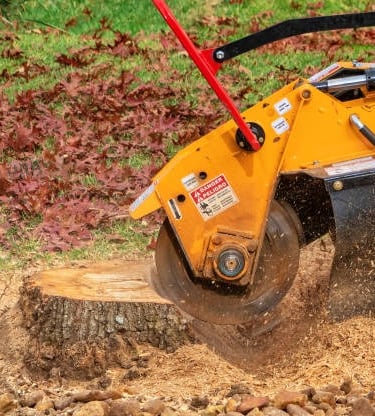 stump grinding