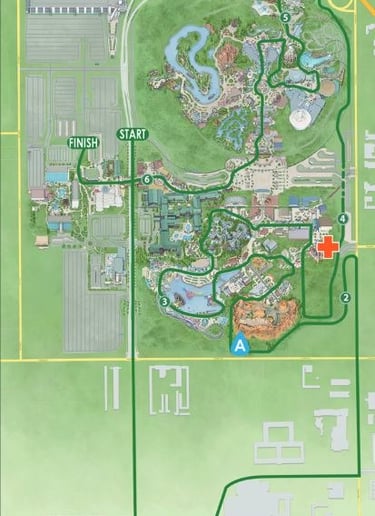 2016 runDisney Dr Strange 10K Course Map