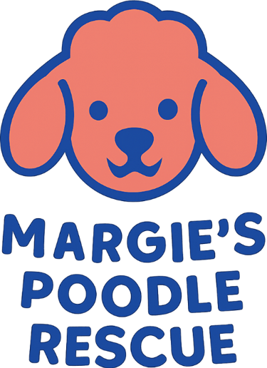 Margie's mini poodle and toy poodle rescue