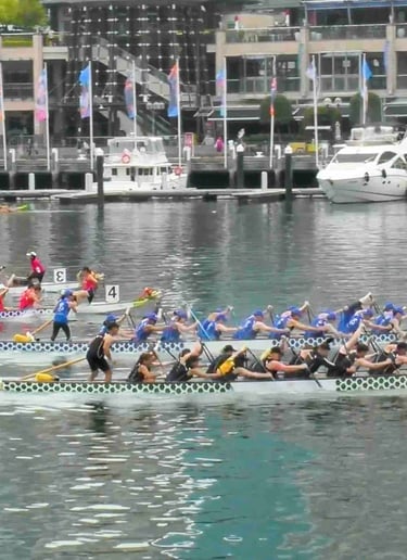 Sydney Lunar Festival, Dragon Boats NSW, Gavin Mitford, Director, Producer, City of Sydney