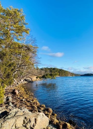 Widok n archipelag sztokholmski z okolic Vaxholm