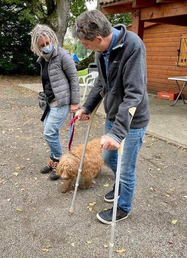 chien qui accompagne une personne handicapée
