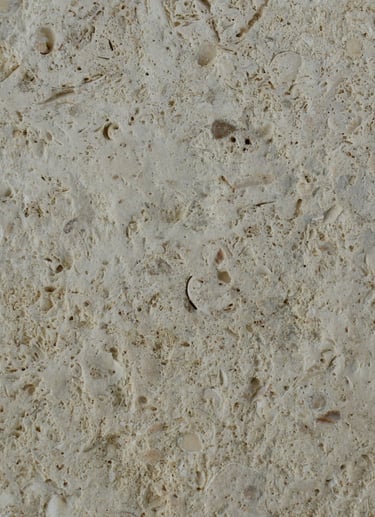 CAS Coral Brushed Shellstone