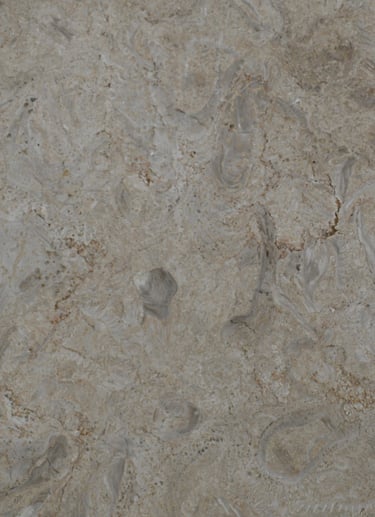 Ostracon Natural Shellstone