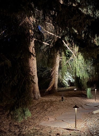 Low voltage landscape path lighting illuminating a stone walkway and pine trees at night.