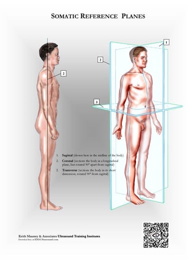 Standard human somatic image planes.