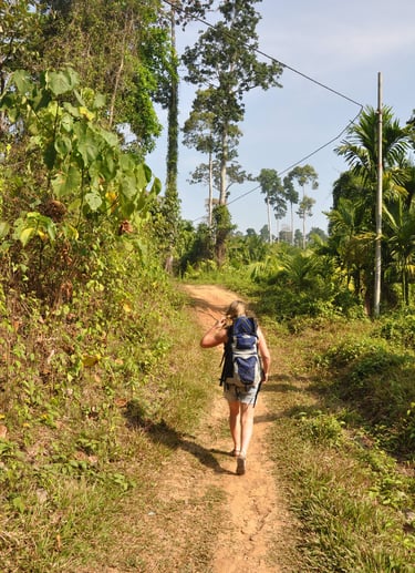 Forest walk to elephant beach, Havelock island, Andaman islands