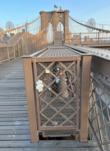 Caged on the Brooklyn Bridge