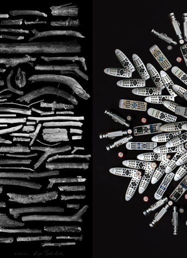 Garden and Cosmos, Mandala