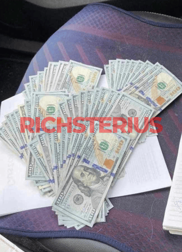 Richsterius