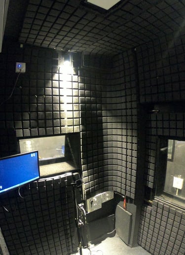 Dubbing room - Dead room - No reflections - Sound proof room- Accoustic Treatment 
