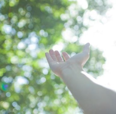 main tendue vers la lumière illustrant l’approche humaine et bienveillante d’une sophrologue