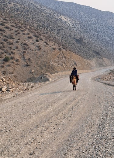 rider in Dolpo Park