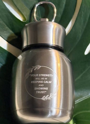 Silver Gray Stainless Steel Mini Insulated Mug with a motivational quote