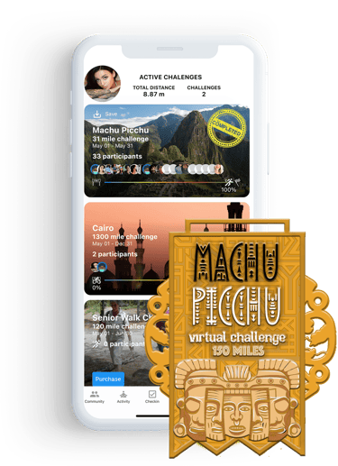 Machu Picchu Virtual Challenge