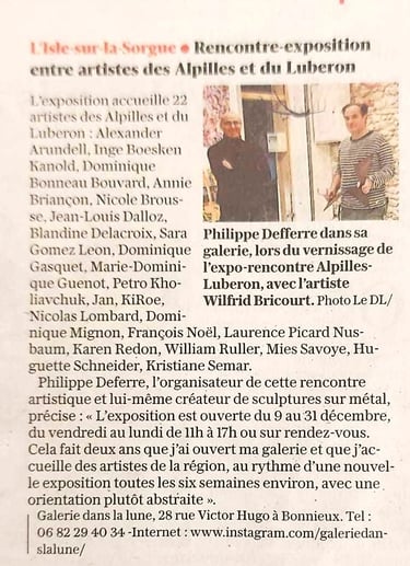 exposition art Bonnieux Wilfrid Bricourt Galerie dans la lune