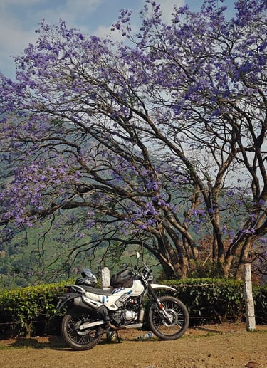 Solo trip on a bike to Anakulam and Mankulam.