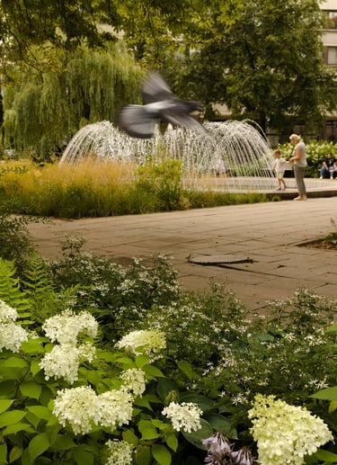 a photo of landscape design project