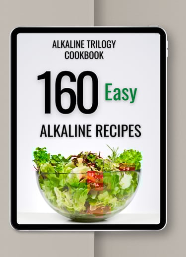 160 alkaline diet mockup