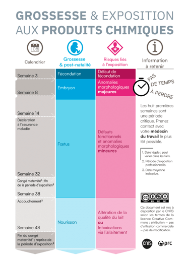 PESTICIDES MALFORMATIONS CONGÉNITALES