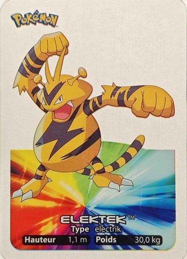 125 Elektek Lamincards Pokémon série 1