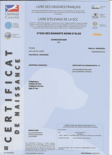 Certificat naissance LOF U'Gigi