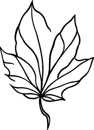 Large line drawing of leaf used as bullet point