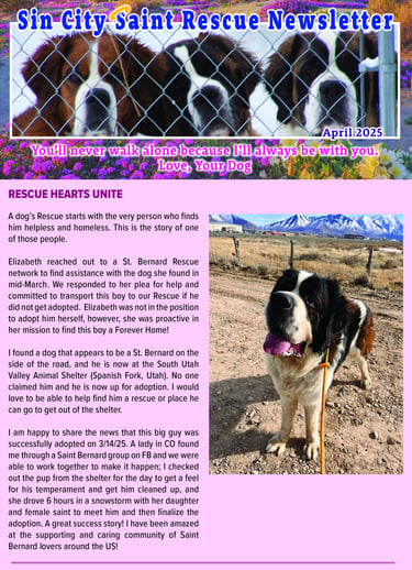 Go 2 JoJo Testimonials Page Sin City Saint Rescue Image www.Go2JoJo.com