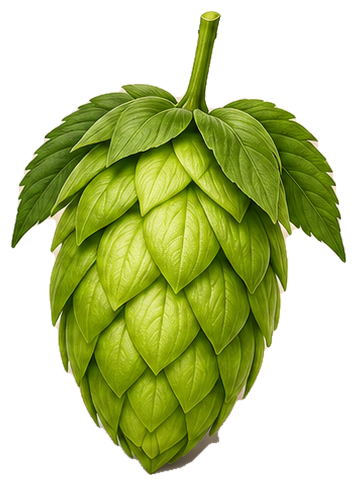 Hops flower