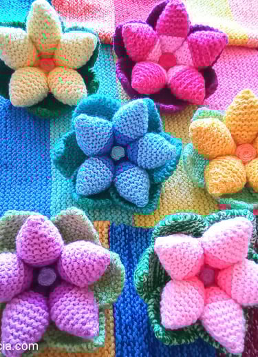 Beautiful bright flowers in bowl shape