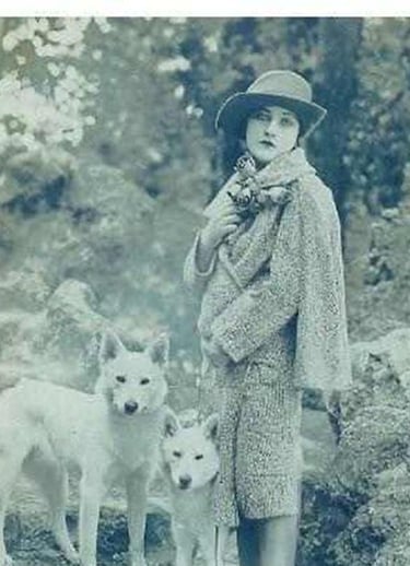 Historique du berger blanc suisse white shepherd Ann Tracy