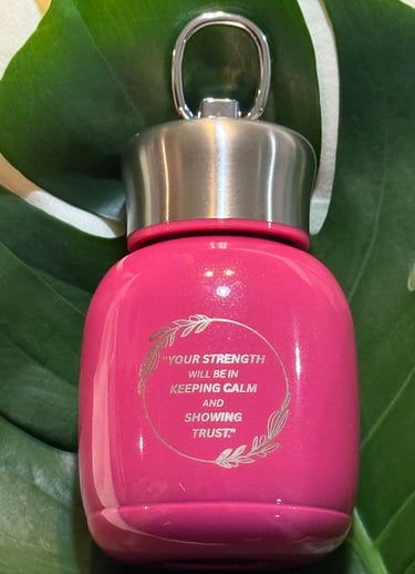 Velvet Stainless Steel Mini Insulated Mug with a motivational quote