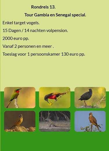Flyer Rondreis 13 – 15-daagse vogelfotografie tour in Gambia, Senegal & Niokolo-Koba NP. Volpension.