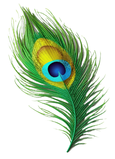SEO Services Krishna