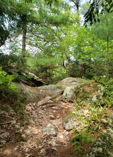 Rock Dunder during spring and summer time while hiking