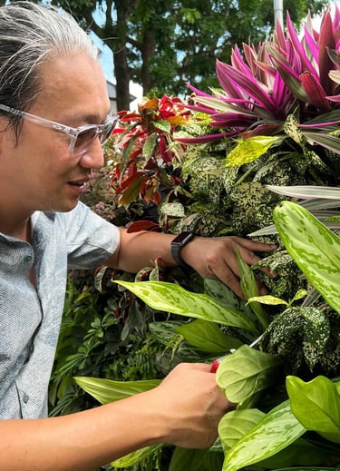 Landscaper pruning plants on a greenwall