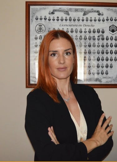 Immigration lawyer in Spain for visa