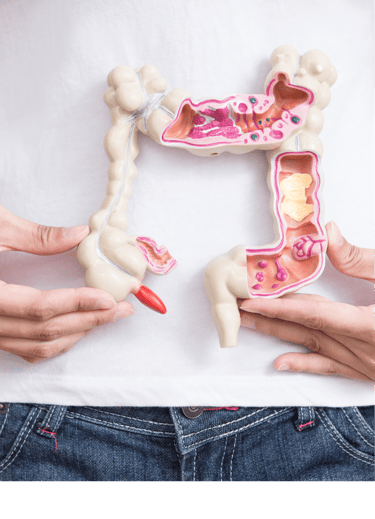 microbiote intestinale
