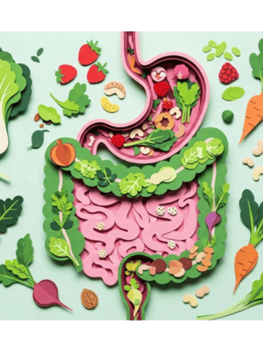 illustration d'un intestin
