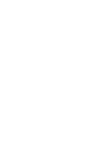 Transvulcania La Palma Island logo featuring a mountain silhouette, star, and TRV abbreviation.