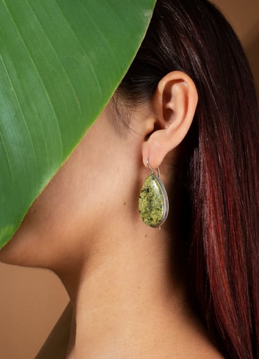 nature-inspired design
