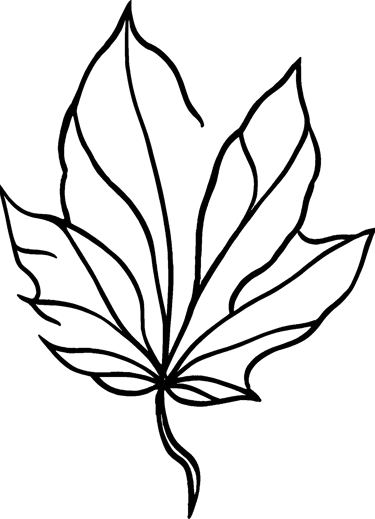 Large line drawing of leaf used as bullet point
