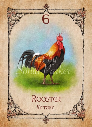 Rooster card from the animal spirit oracle deck