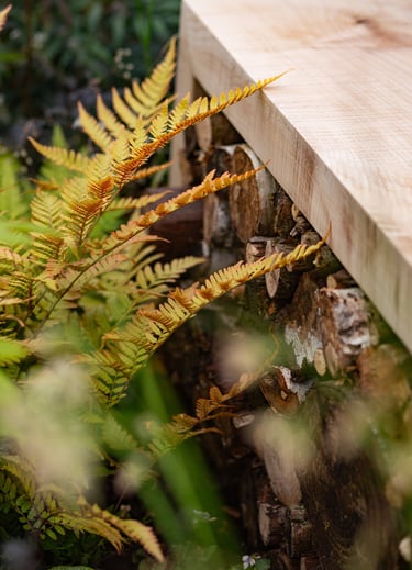 Bench with log piles stacked underneath and Dryopteris erythrosora to the side